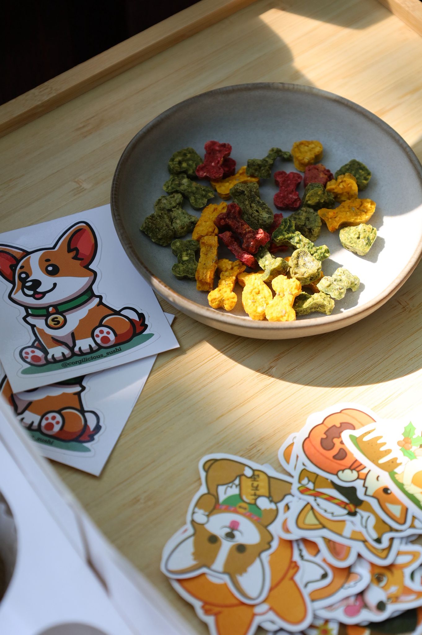 corgi meet up 1